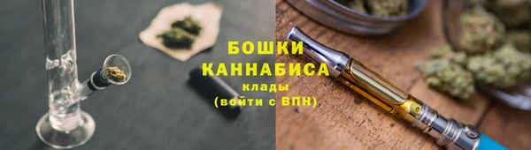 шишки Аша
