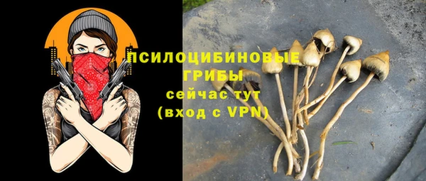 прущие крисы Ижевск
