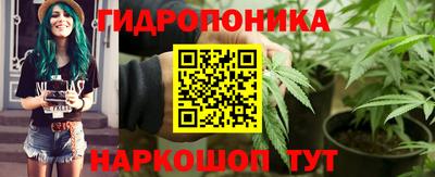 гидропоника Гусиноозёрск
