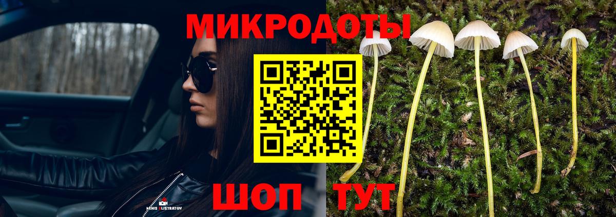 Псилоцибиновые грибы MAGIC MUSHROOMS  даркнет сайт  Егорьевск  Вход с VPN 