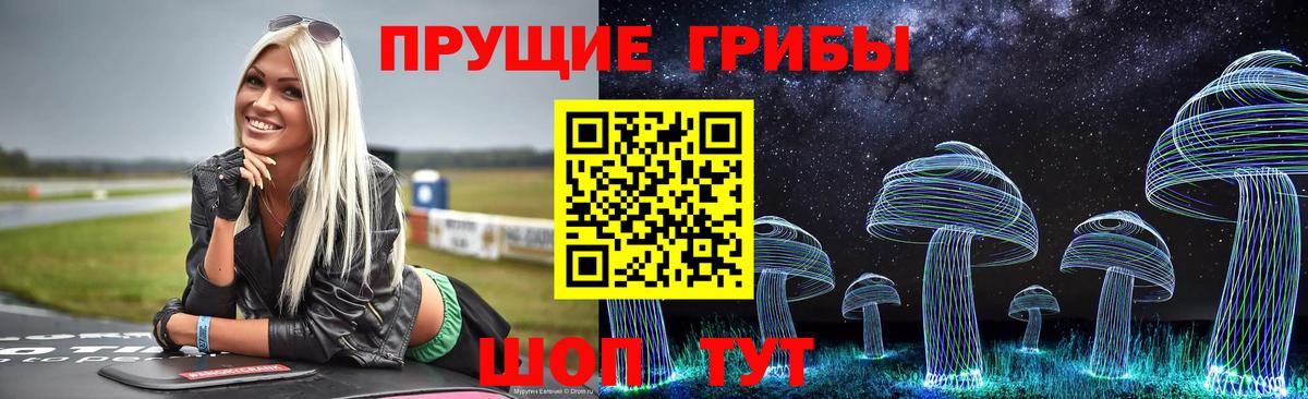 Псилоцибиновые грибы GOLDEN TEACHER  Егорьевск  Галлюциногенные грибы Psilocybe 